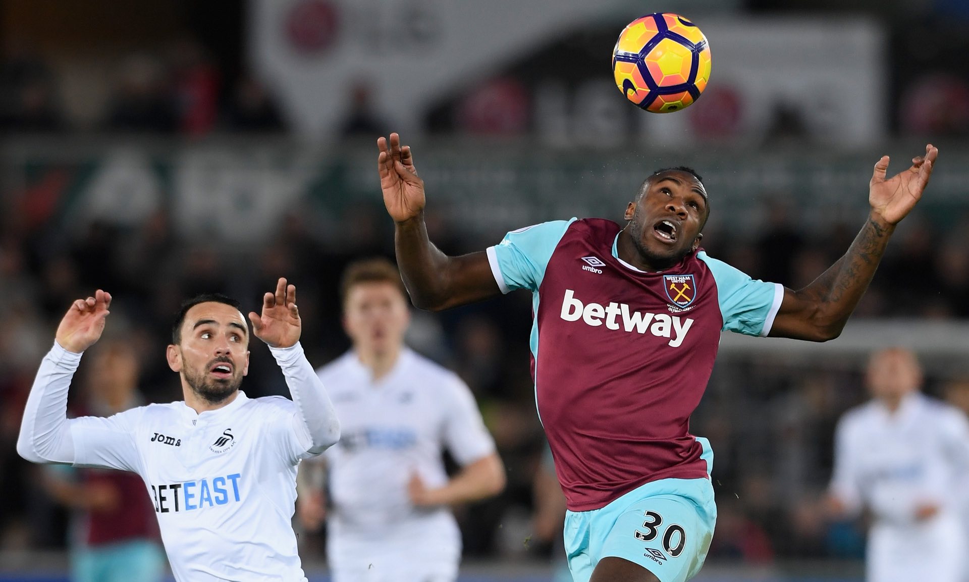 仅能完善尤 仅能完善尤